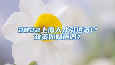 2022上海人才引进落户政策你知道吗？