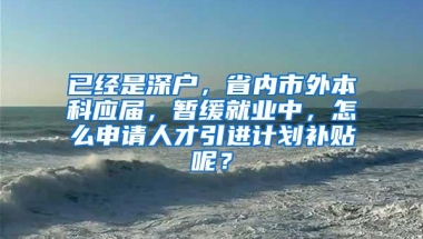 已经是深户，省内市外本科应届，暂缓就业中，怎么申请人才引进计划补贴呢？