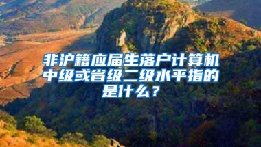 非沪籍应届生落户计算机中级或省级二级水平指的是什么？