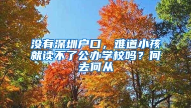 没有深圳户口，难道小孩就读不了公办学校吗？何去何从