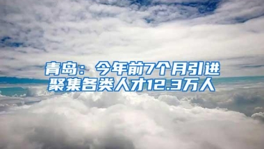 青岛：今年前7个月引进聚集各类人才12.3万人