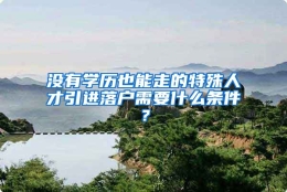 没有学历也能走的特殊人才引进落户需要什么条件？