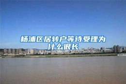 杨浦区居转户等待受理为什么很长