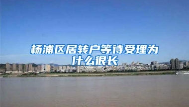 杨浦区居转户等待受理为什么很长