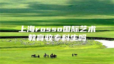 上海rosso国际艺术教育收专科生吗