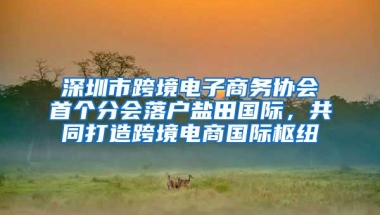 深圳市跨境电子商务协会首个分会落户盐田国际，共同打造跨境电商国际枢纽