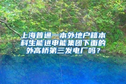 上海普通一本外地户籍本科生能进申能集团下面的外高桥第三发电厂吗？