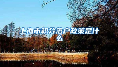 上海市积分落户政策是什么