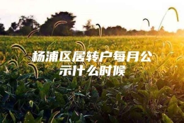 杨浦区居转户每月公示什么时候