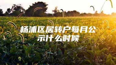 杨浦区居转户每月公示什么时候