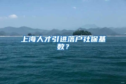 上海人才引进落户社保基数？