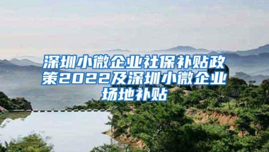 深圳小微企业社保补贴政策2022及深圳小微企业场地补贴