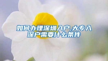 如何办理深圳入户,大专入深户需要什么条件