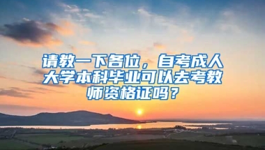 请教一下各位，自考成人大学本科毕业可以去考教师资格证吗？