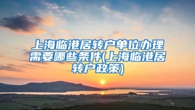 上海临港居转户单位办理需要哪些条件(上海临港居转户政策)