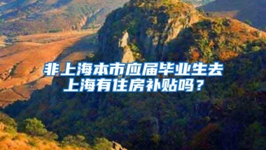 非上海本市应届毕业生去上海有住房补贴吗？