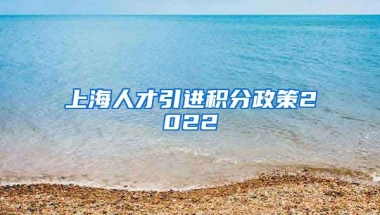 上海人才引进积分政策2022