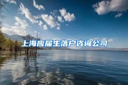 上海应届生落户咨询公司