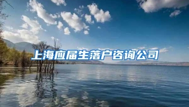 上海应届生落户咨询公司