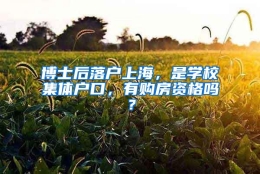 博士后落户上海，是学校集体户口，有购房资格吗？