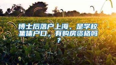 博士后落户上海，是学校集体户口，有购房资格吗？