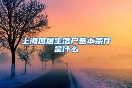 上海应届生落户基本条件是什么