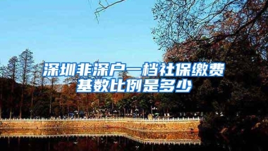 深圳非深户一档社保缴费基数比例是多少