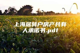 上海居转户房产共有人承诺书.pdf