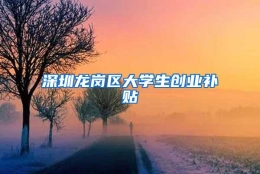 深圳龙岗区大学生创业补贴