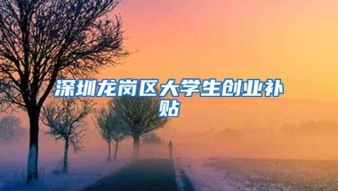 深圳龙岗区大学生创业补贴