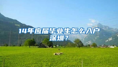 14年应届毕业生怎么入户深圳？