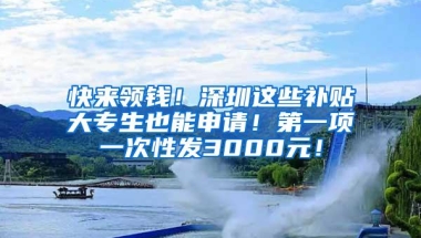 快来领钱！深圳这些补贴大专生也能申请！第一项一次性发3000元！