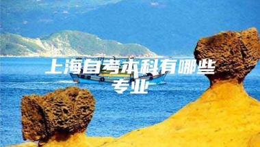 上海自考本科有哪些专业