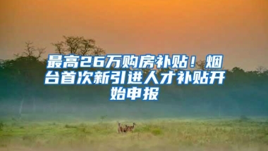 最高26万购房补贴！烟台首次新引进人才补贴开始申报