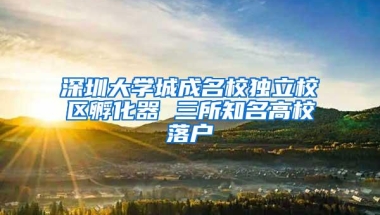 深圳大学城成名校独立校区孵化器 三所知名高校落户