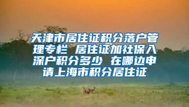 天津市居住证积分落户管理专栏 居住证加社保入深户积分多少 在哪边申请上海市积分居住证