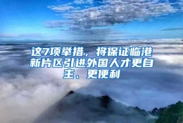 这7项举措，将保证临港新片区引进外国人才更自主、更便利