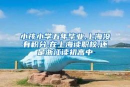 小孩小学五年毕业,上海没有积分,在上海读职校,还是浙江读初高中