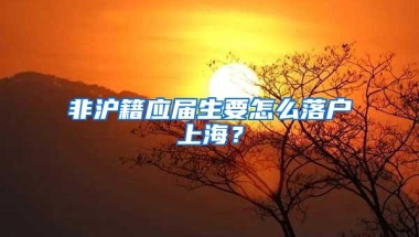 非沪籍应届生要怎么落户上海？