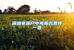 深圳非深户中考报名条件一览