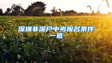 深圳非深户中考报名条件一览