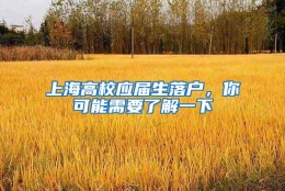 上海高校应届生落户，你可能需要了解一下