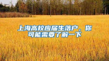 上海高校应届生落户，你可能需要了解一下