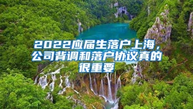 2022应届生落户上海，公司背调和落户协议真的很重要