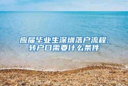 应届毕业生深圳落户流程,转户口需要什么条件