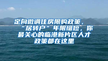 定向微调住房限购政策，“居转户”年限缩短，你最关心的临港新片区人才政策都在这里