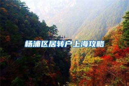 杨浦区居转户上海攻略