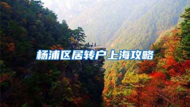 杨浦区居转户上海攻略