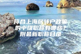 符合上海居转户政策的中级职称有哪些？附最新职称目录