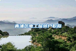 青浦区电工居转户职称